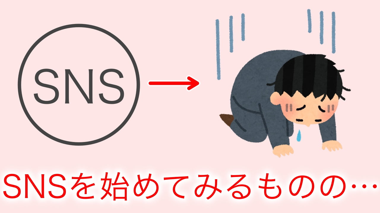 SNSの実施
