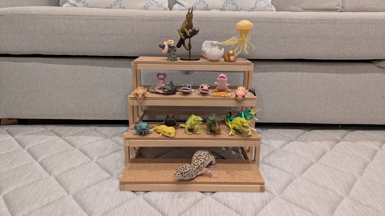 コルクボード設置